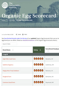 Organic Egg Scorecard